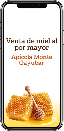 disenowebmovil03