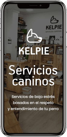 disenowebmovil07