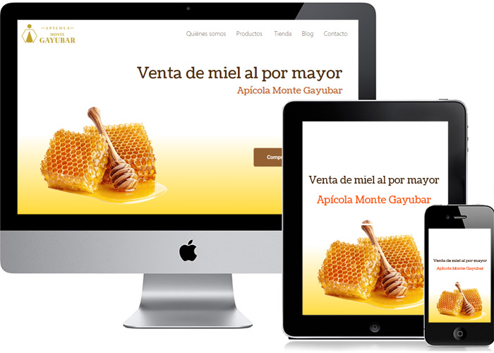 portfolioApicola