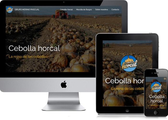 portfolioCebollaHorcal