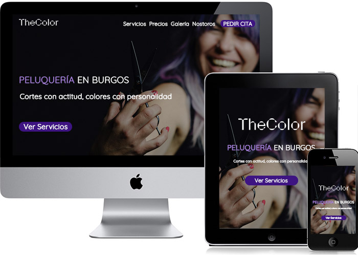 portfoliothecolor